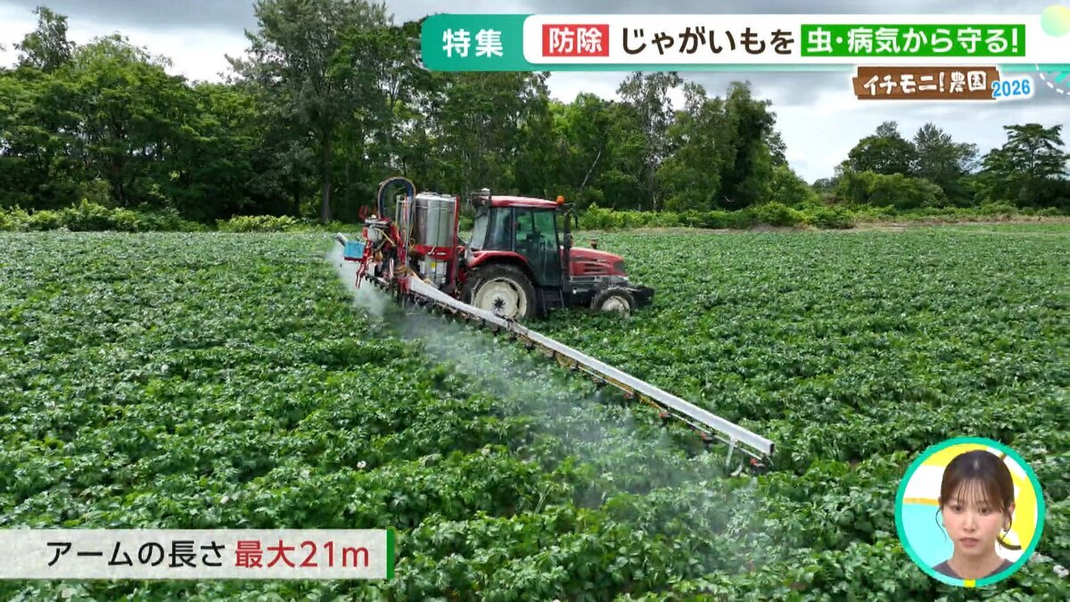 0826イチモニ農園YT用.mp4_snapshot_02.22_[2026-08-28_12.29.25].jpg