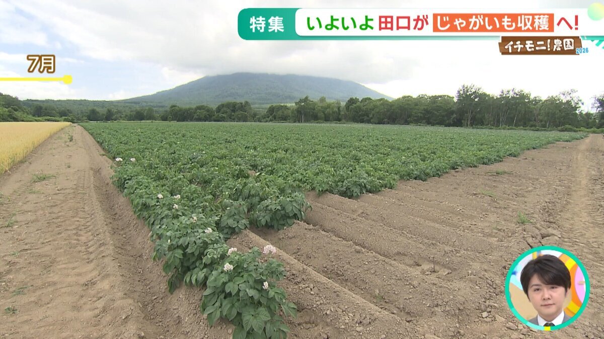 YT用イチモ二農園③.mp4_snapshot_00.30_[2026-09-25_11.45.51].jpg