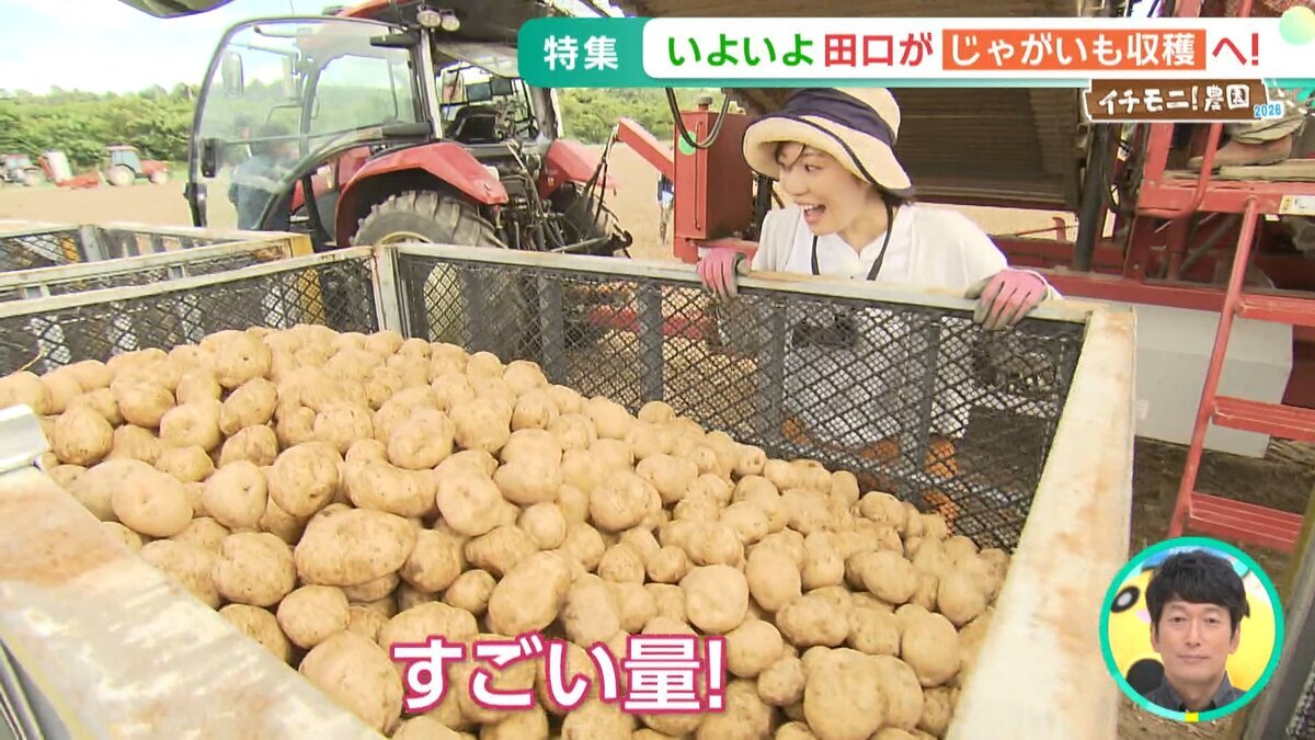 YT用イチモ二農園③.mp4_snapshot_03.22_[2026-09-25_11.49.28].jpg