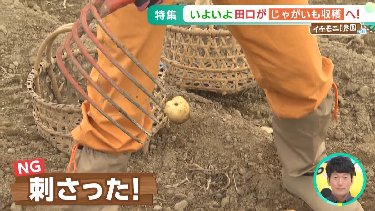 YT用イチモ二農園③.mp4_snapshot_01.15_[2026-09-25_11.46.49].jpg