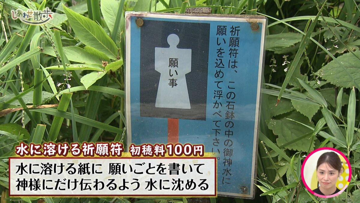 本編.mp4_snapshot_02.44_[2026-10-20_17.08.04].jpg
