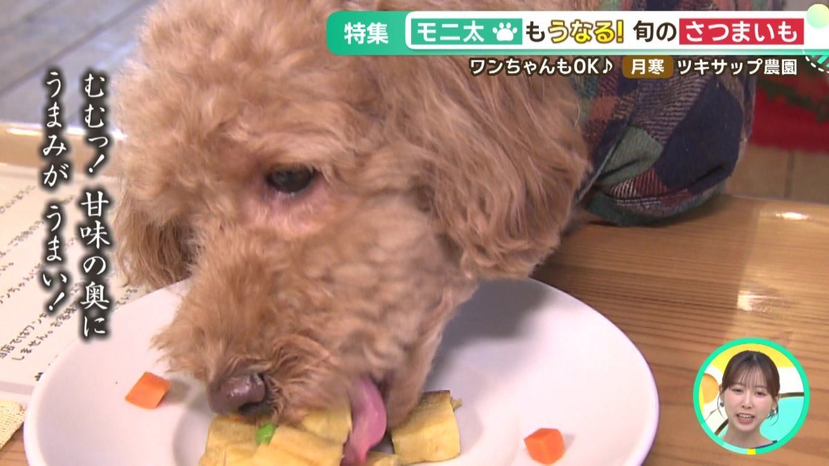 07_駆けつけた兄・モニ太がさつまいもを勢いよく食べる様子.jpg
