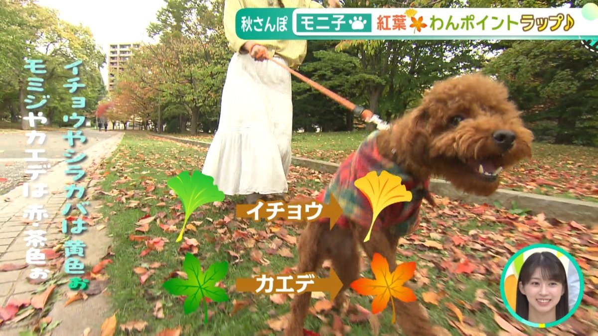 02_01_49のシーン.jpg