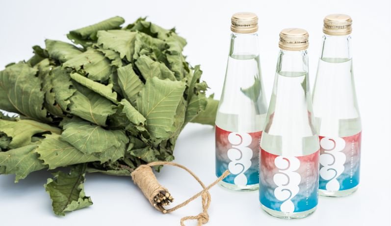 soda_ph01.jpg